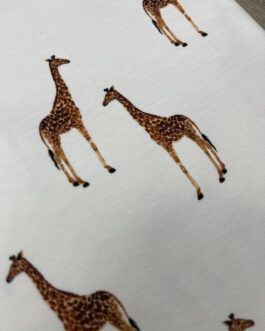 Jersey Giraffe